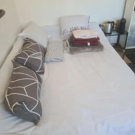 Appartement Entier Ou Chambre Bordeaux Centre Homestay